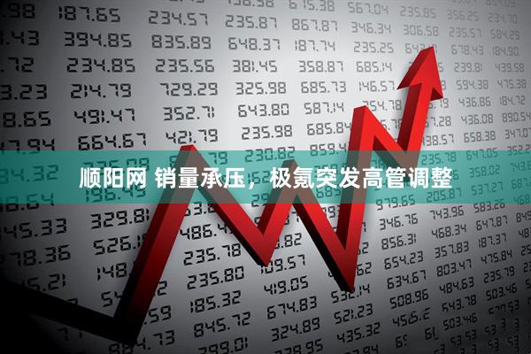 顺阳网 销量承压，极氪突发高管调整