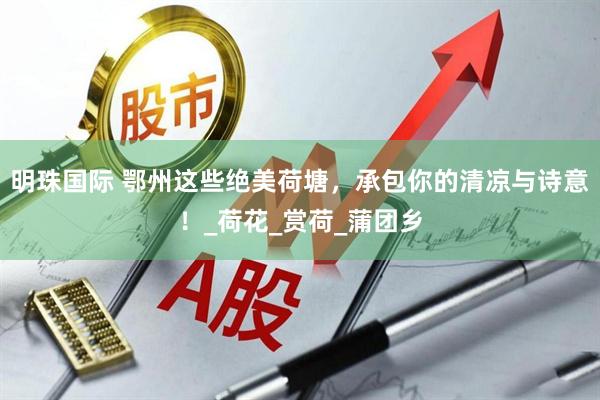 明珠国际 鄂州这些绝美荷塘，承包你的清凉与诗意！_荷花_赏荷_蒲团乡