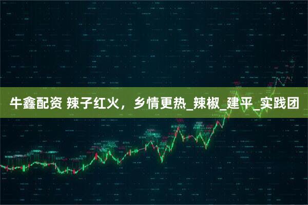 牛鑫配资 辣子红火，乡情更热_辣椒_建平_实践团