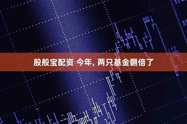 股般宝配资 今年, 两只基金翻倍了