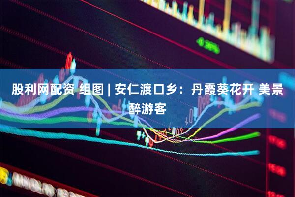 股利网配资 组图 | 安仁渡口乡：丹霞葵花开 美景醉游客
