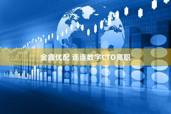 金鑫优配 连连数字CTO离职